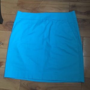 Ann Taylor Madison skirt